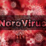 Norovirus in Hindi