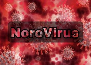 Norovirus in Hindi